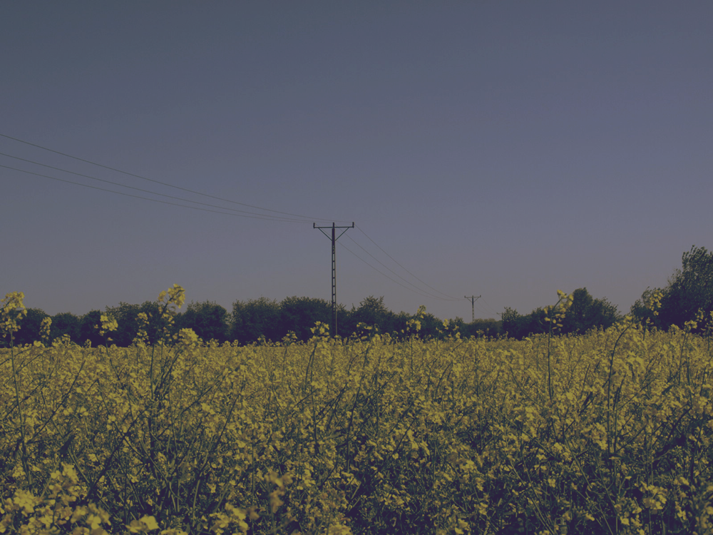 [_5016872+kopia.png]