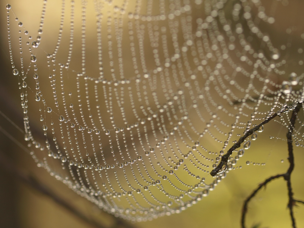 [_7249016_01+kopia.png]