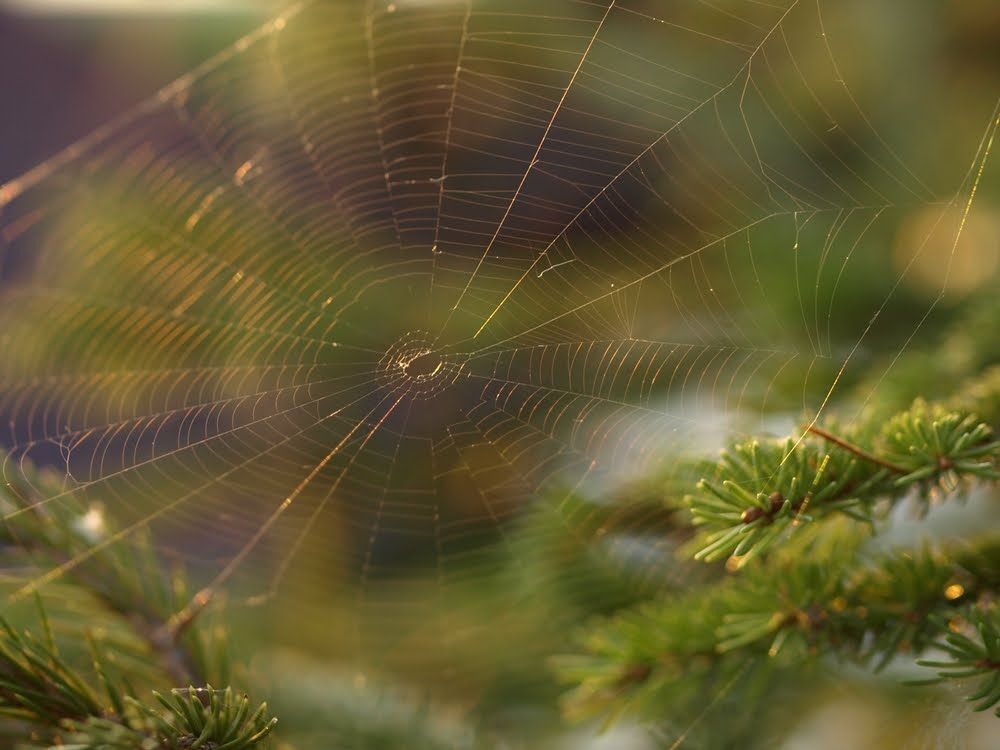 [tn__7078228_01.JPG]