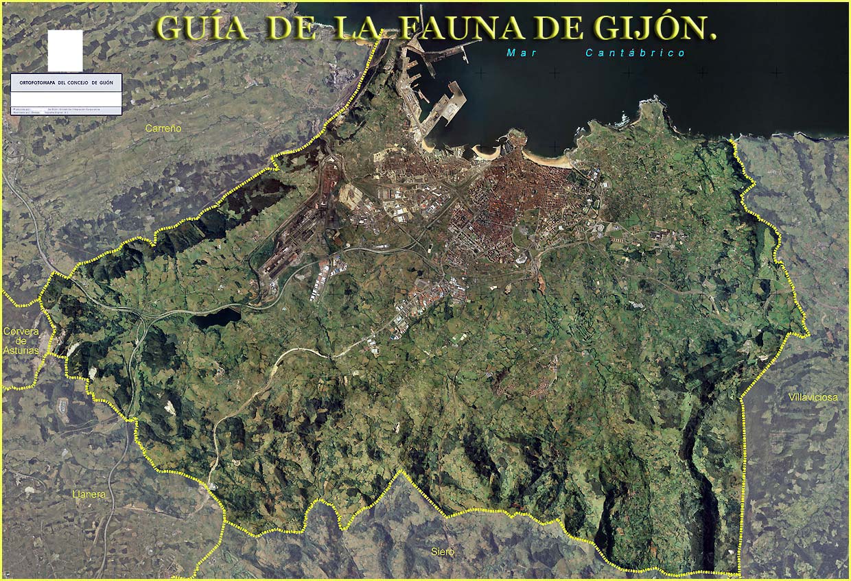 GUIA DE LA FAUNA DE GIJON