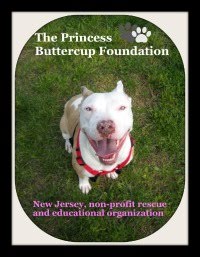 The Princess Buttercup Foundation