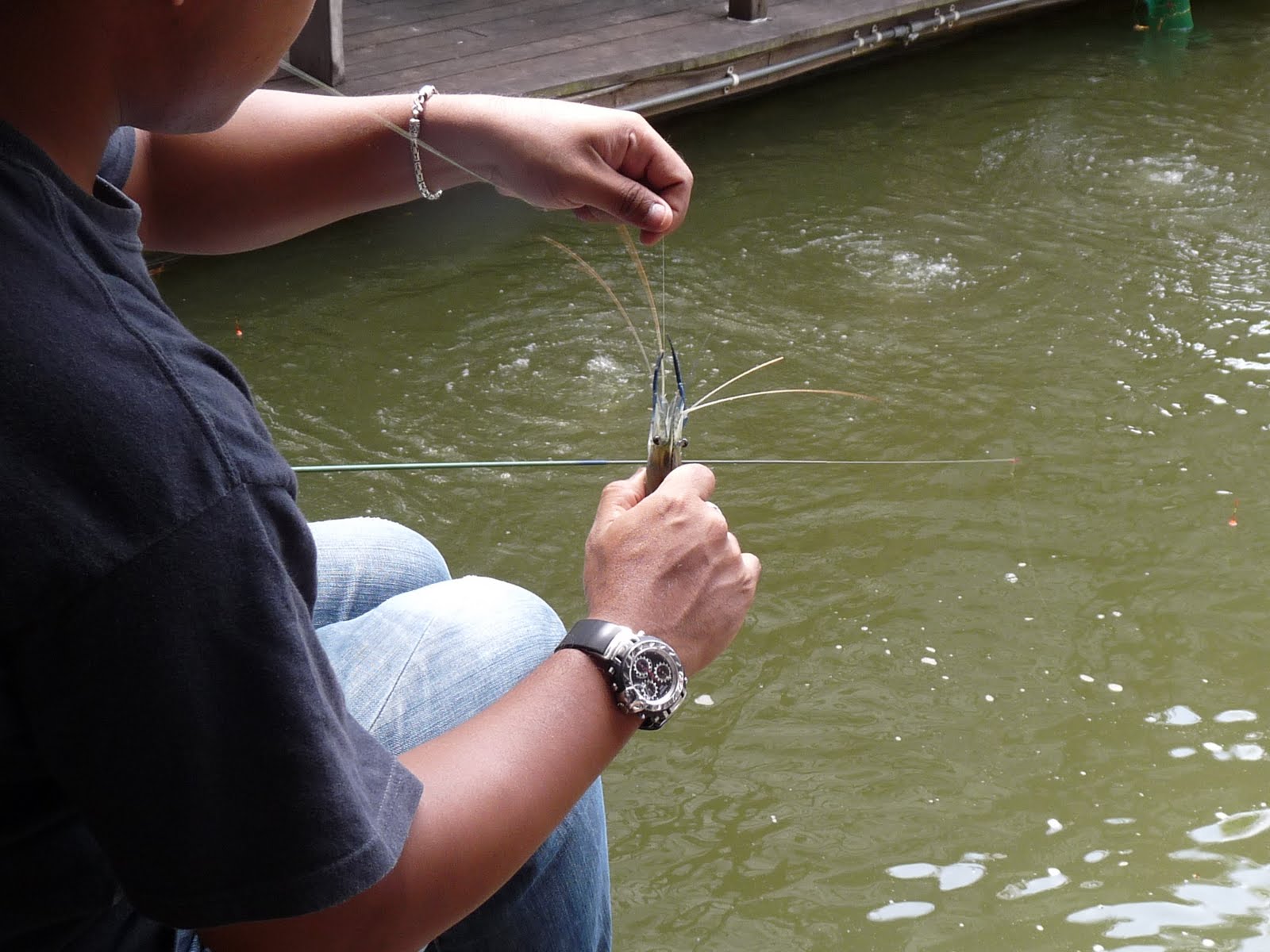 eastcoastlife Prawn Fishing RT/WW