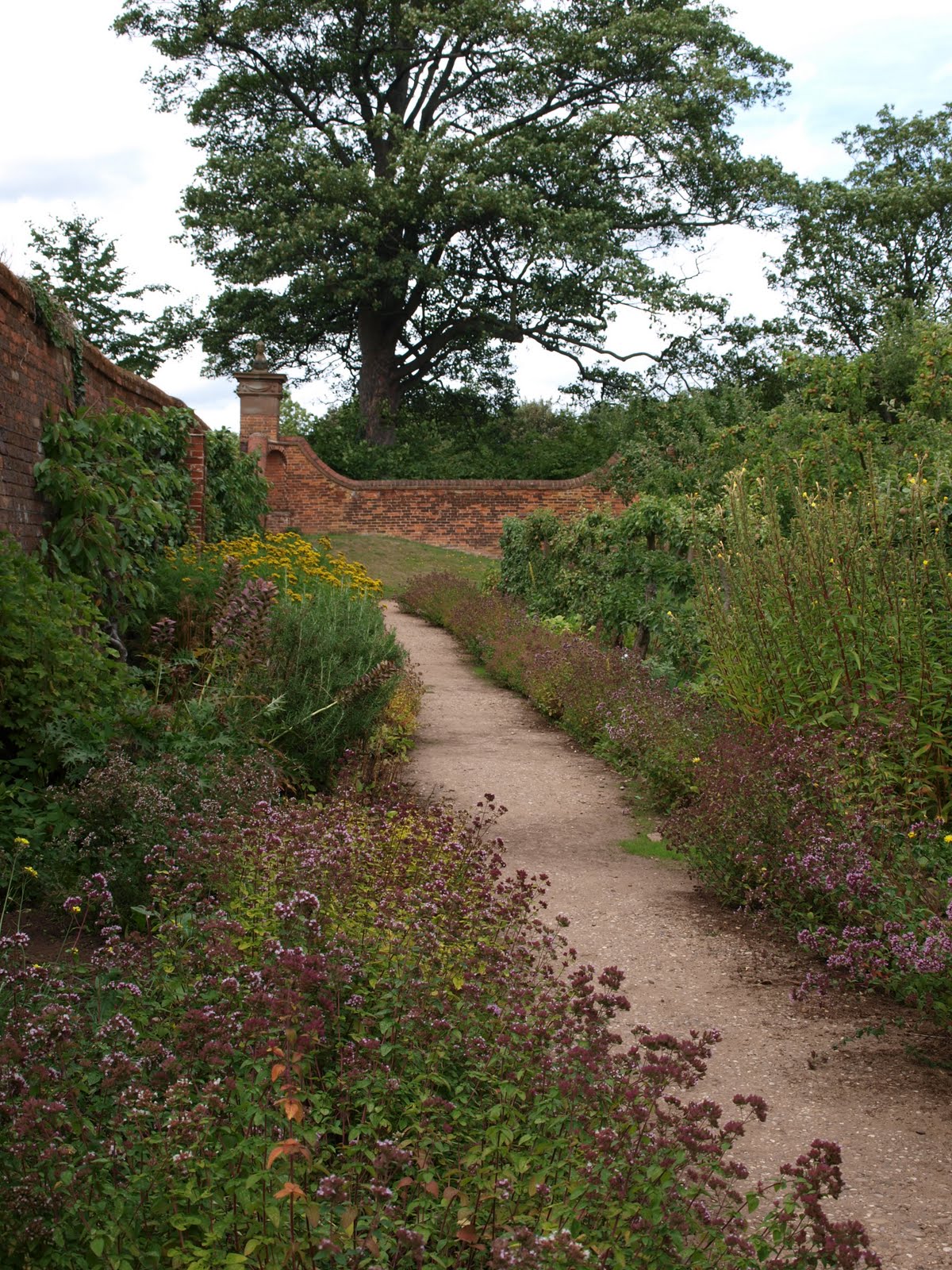 Ragged Robin's Nature Notes Castle Bromwich Hall Gardens