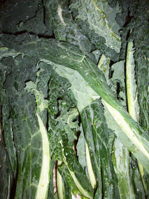 SLO Kale