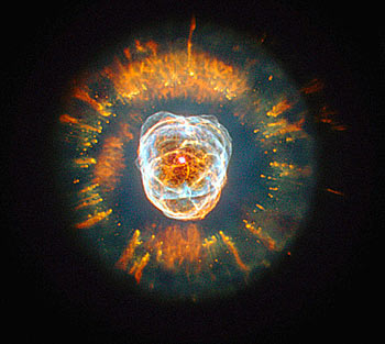 [image003.jpg]