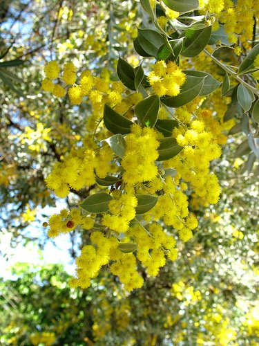 [201795291_f578e6c037aca.jpg]