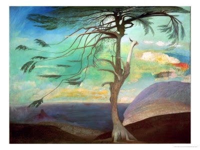 [solitary+cedar.JPG]