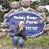 Korea Trip - Teddy Bear Farm