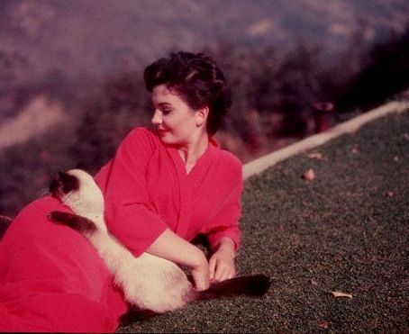 [Jean+Simmons37.jpg]