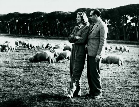 [Ingrid+Bergman16.jpg]