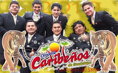 Caribeños de Guadalupe Los tigres del sabor