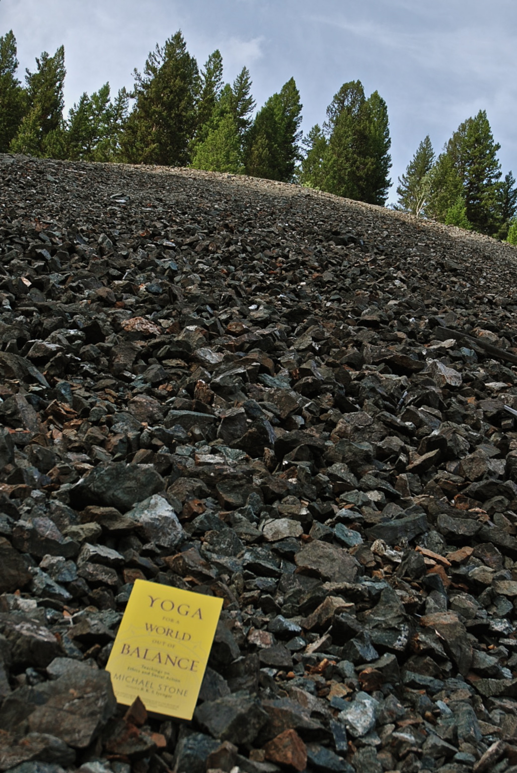 Turmeric Vs. Curcumin: Which Supplement Should You're Taking?