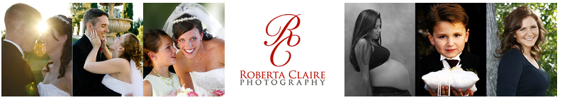 Roberta Claire Wedding Photography Blog