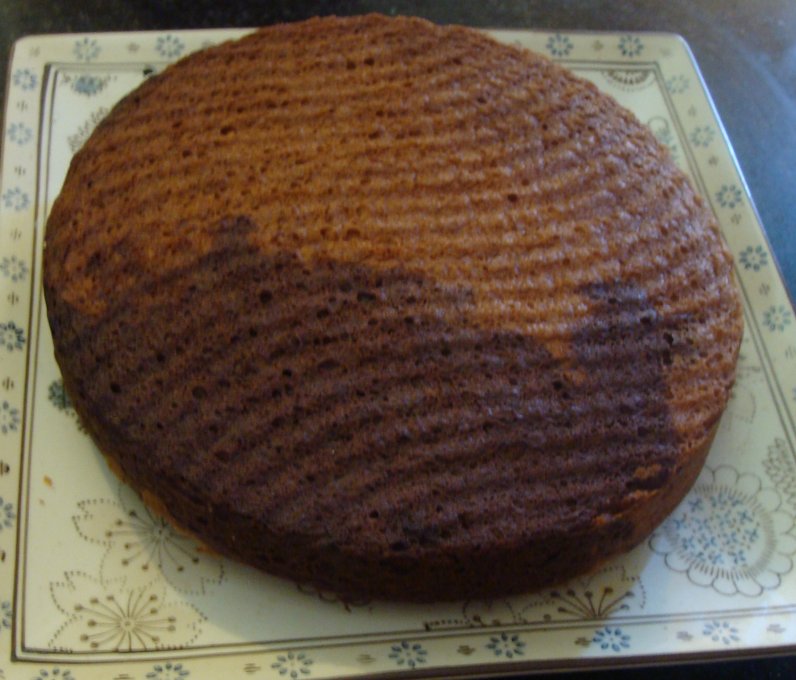 [OL+of+Fatima+plain+Marble+cake.jpg]