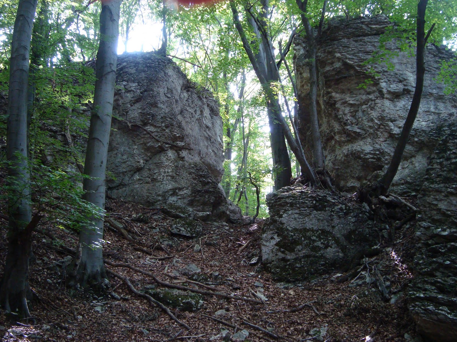 [DSC05558.JPG]