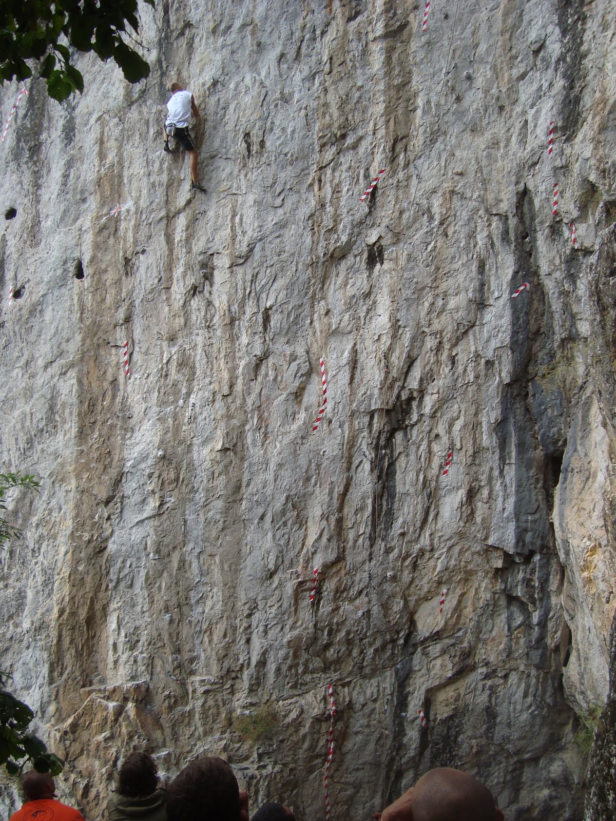 [DSC05873.JPG]