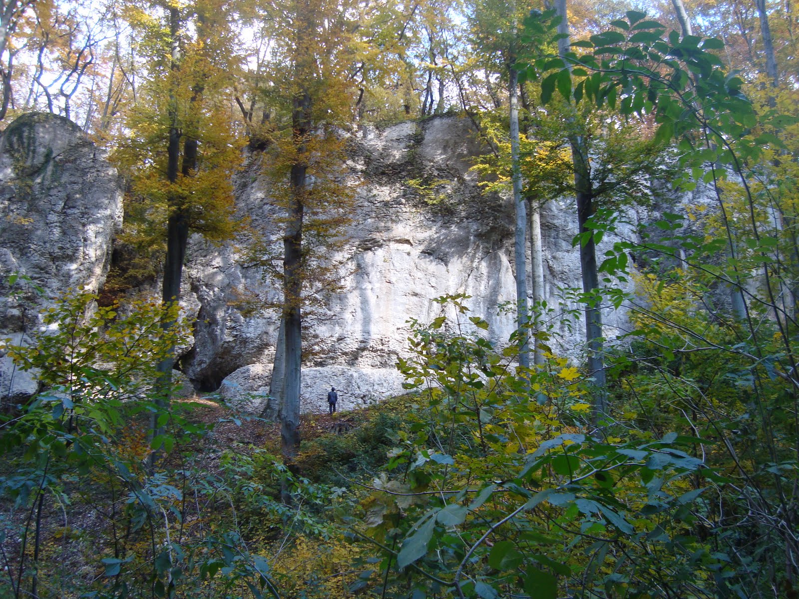[DSC06472.JPG]