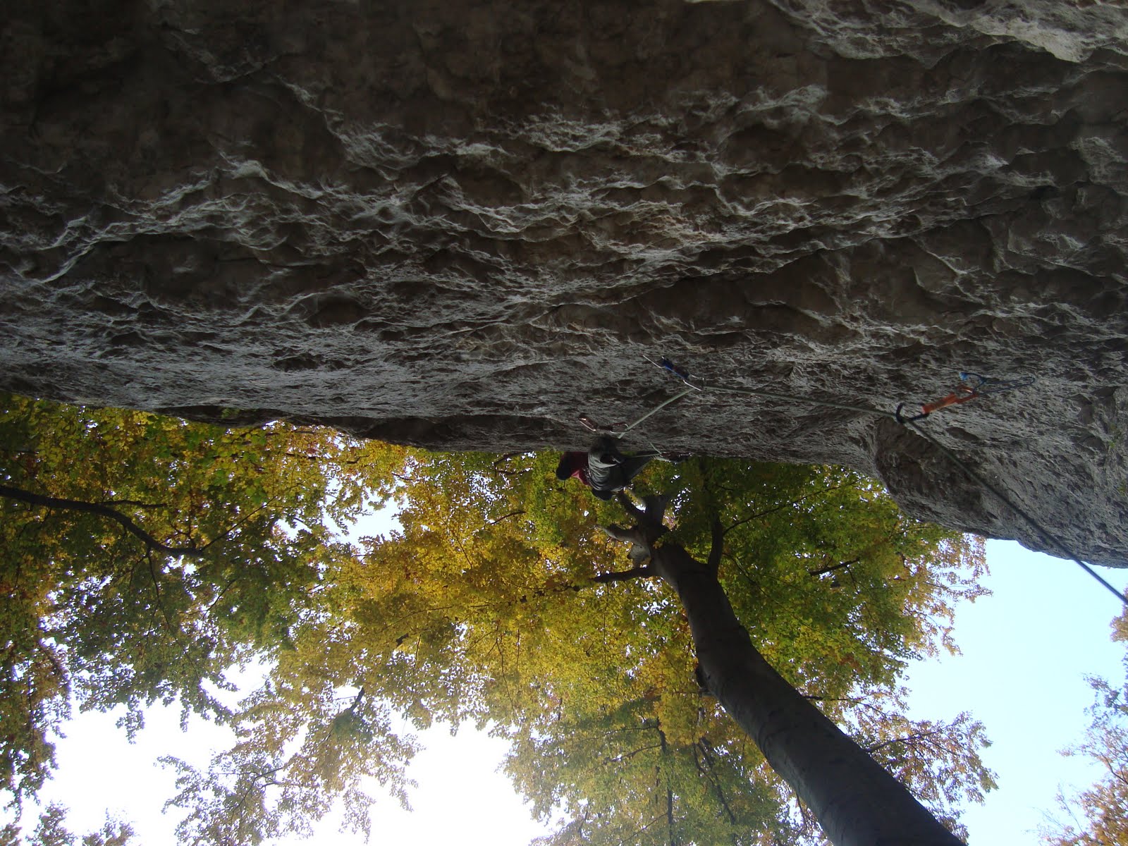 [DSC06508.JPG]