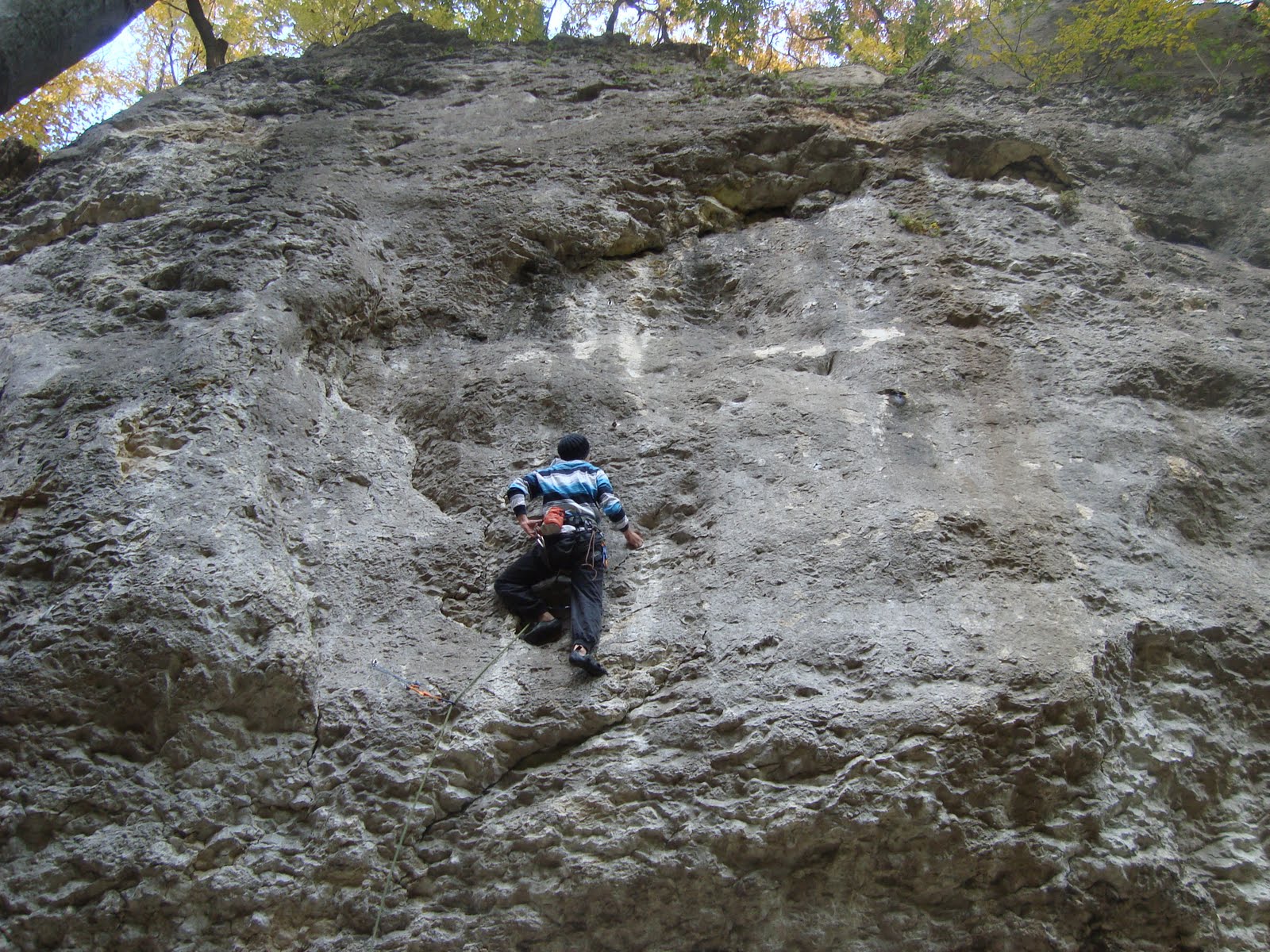 [DSC06485.JPG]