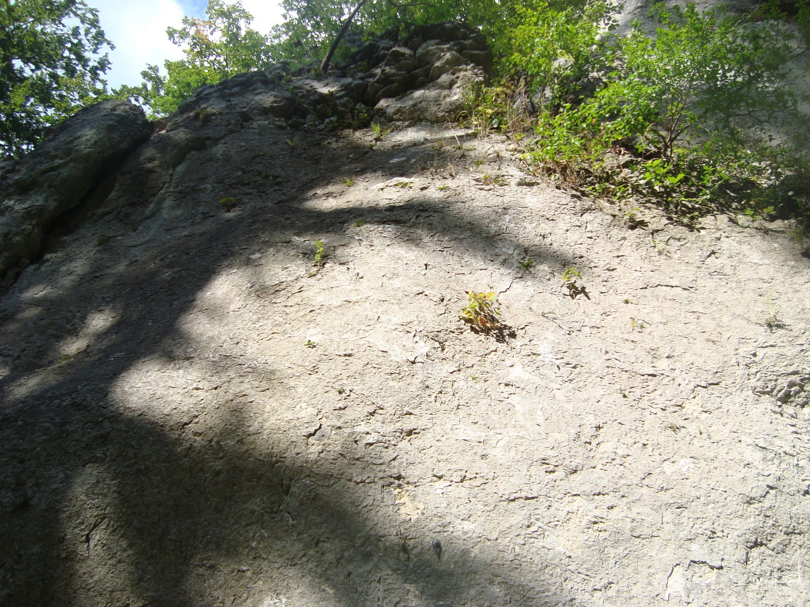 [DSC05729.JPG]