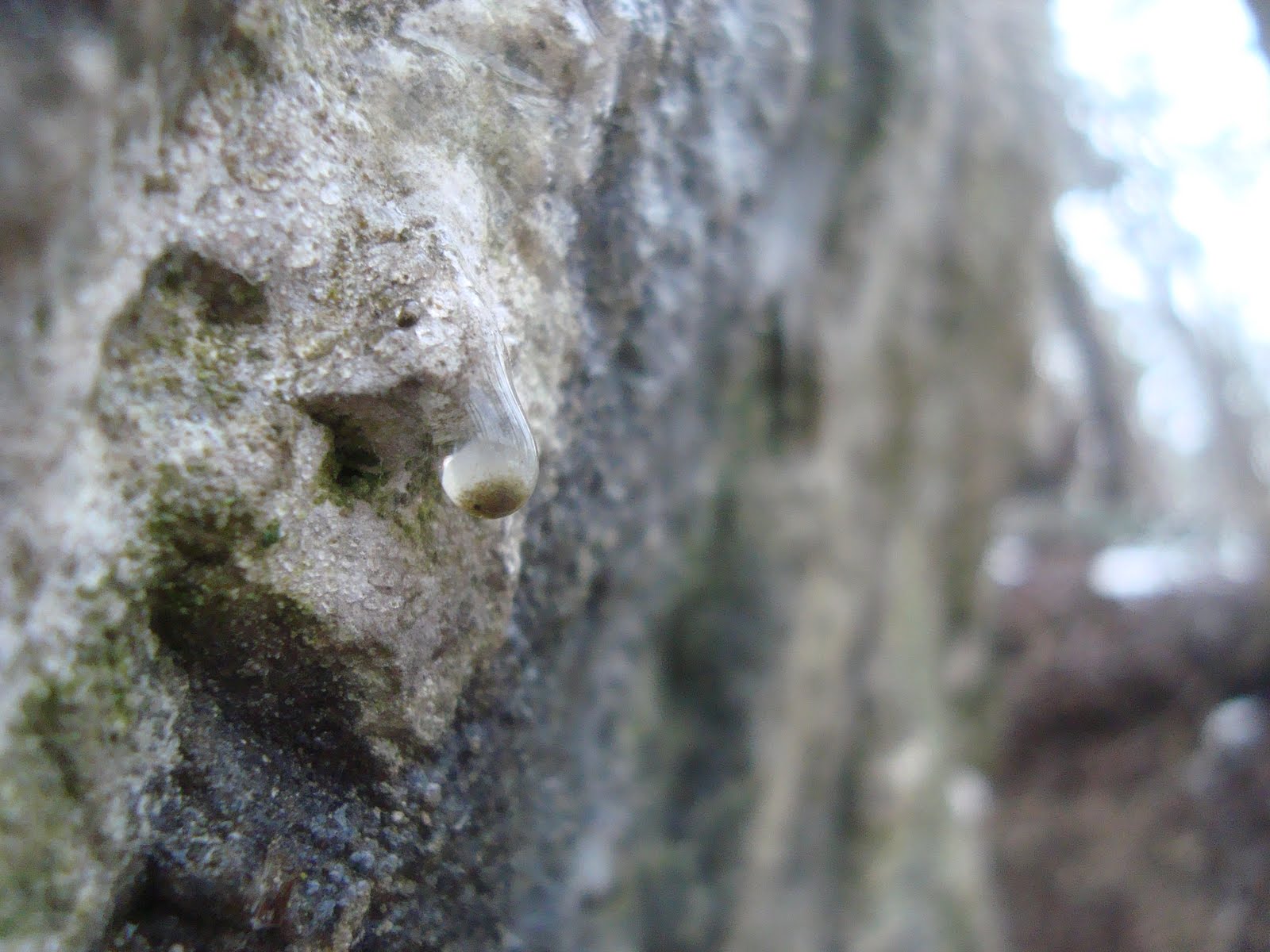 [DSC06834.JPG]