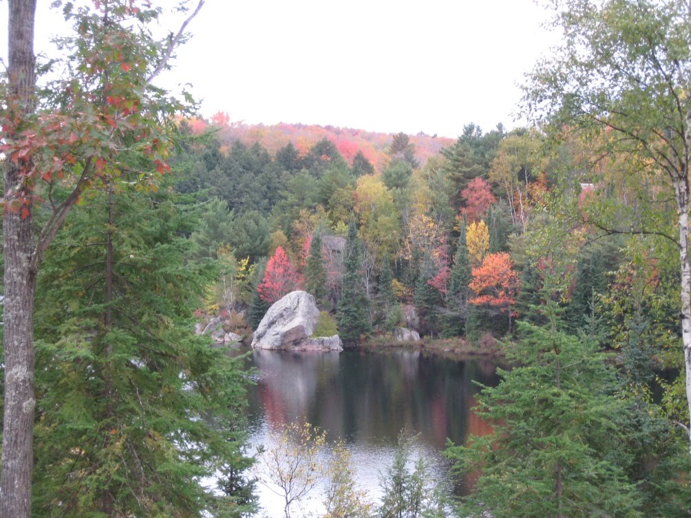 CranberryBlossom Growler Lake Fall's Beauty