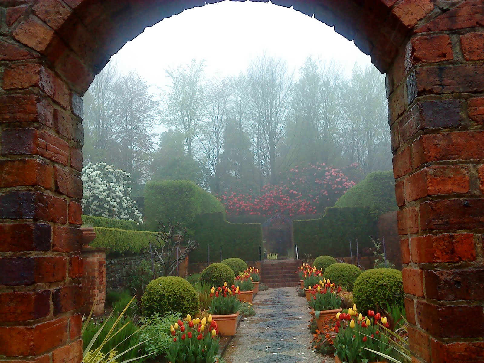 Inspiration Is Here Cloudehill Not Just Any Old Garden In The Misty Mountains 