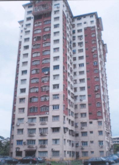 Hong Hong
