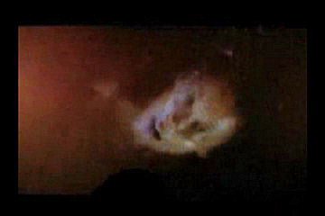 [trailer153_small.jpeg]