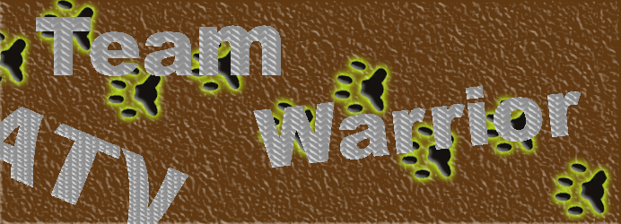 Team Warrior