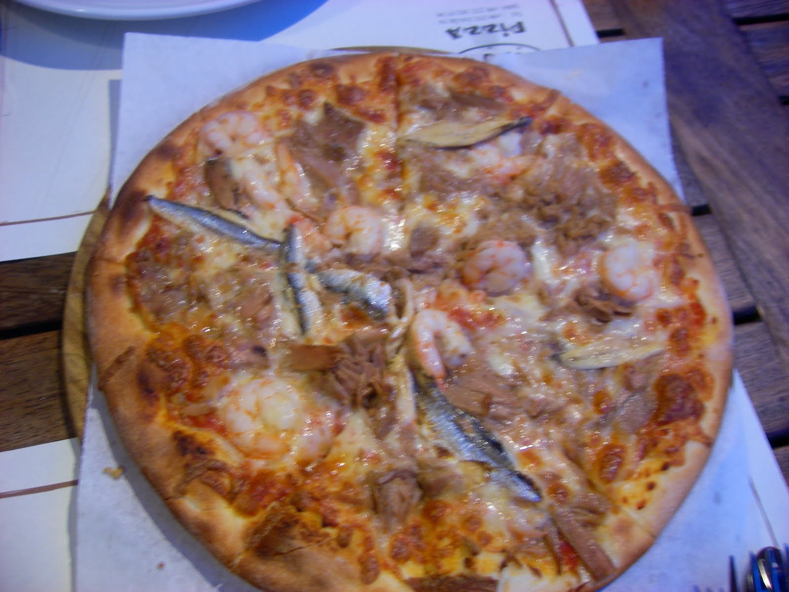 koruma programı sünger pizza