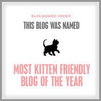 [award_kitten.jpg]