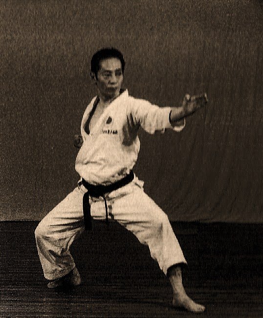 André Bertel's Karate-Do: The Most Important Shotokan Kata