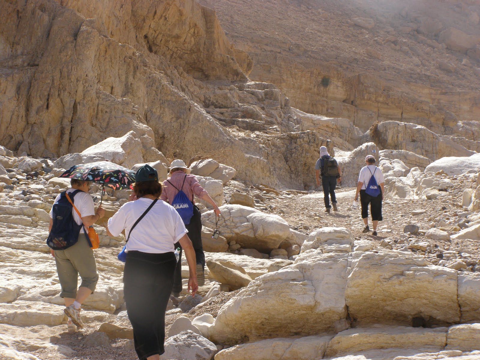 [hikeP2170023+(5).JPG]