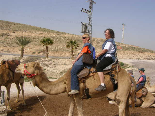 [Camel+ride+P2180021+(6).JPG]