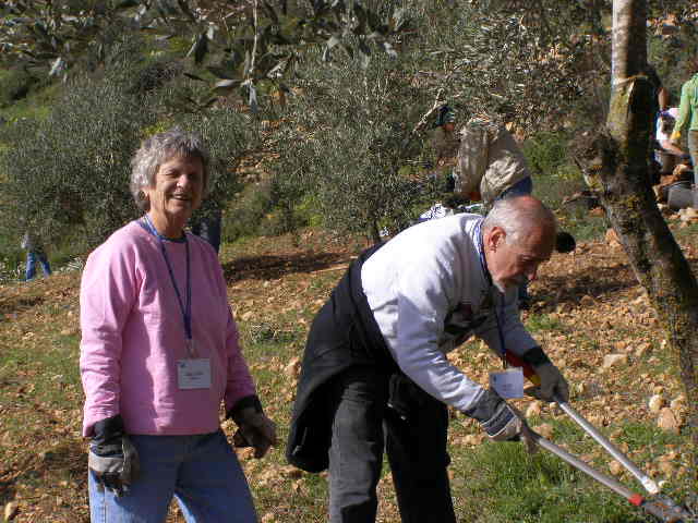 [Feb.+9+P2090001+(15).JPG]