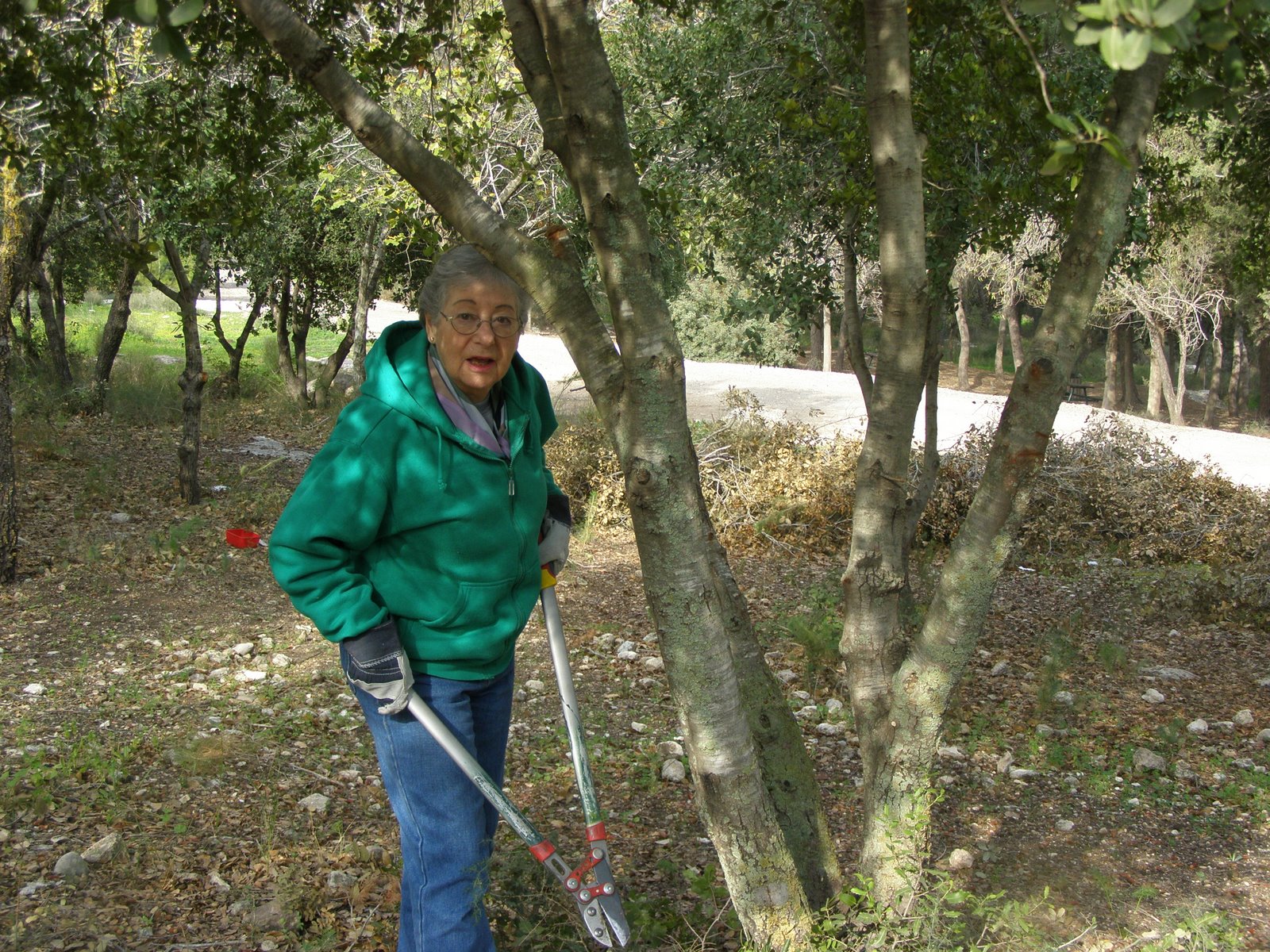 [week+2+-+2+013.jpg]