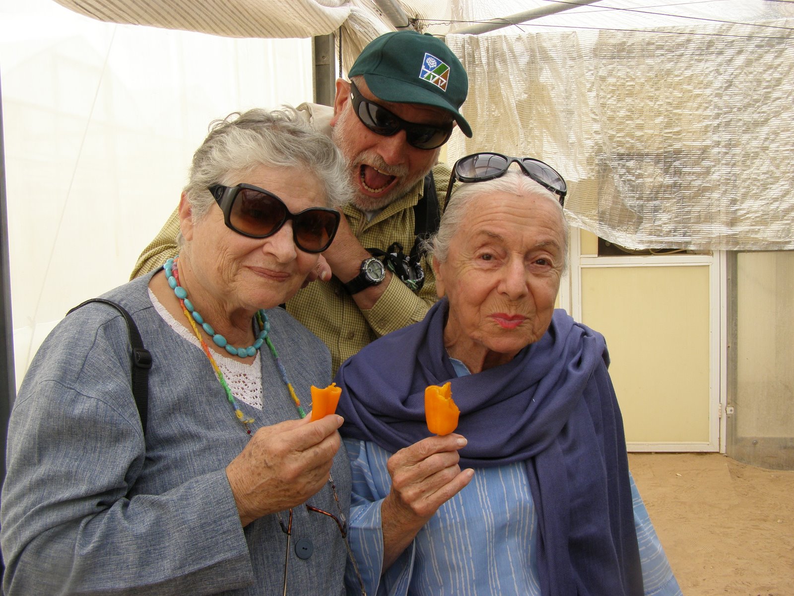 [R&D+Hatzeva037+(12).jpg]