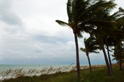 hurricane photo