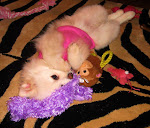 Kallie