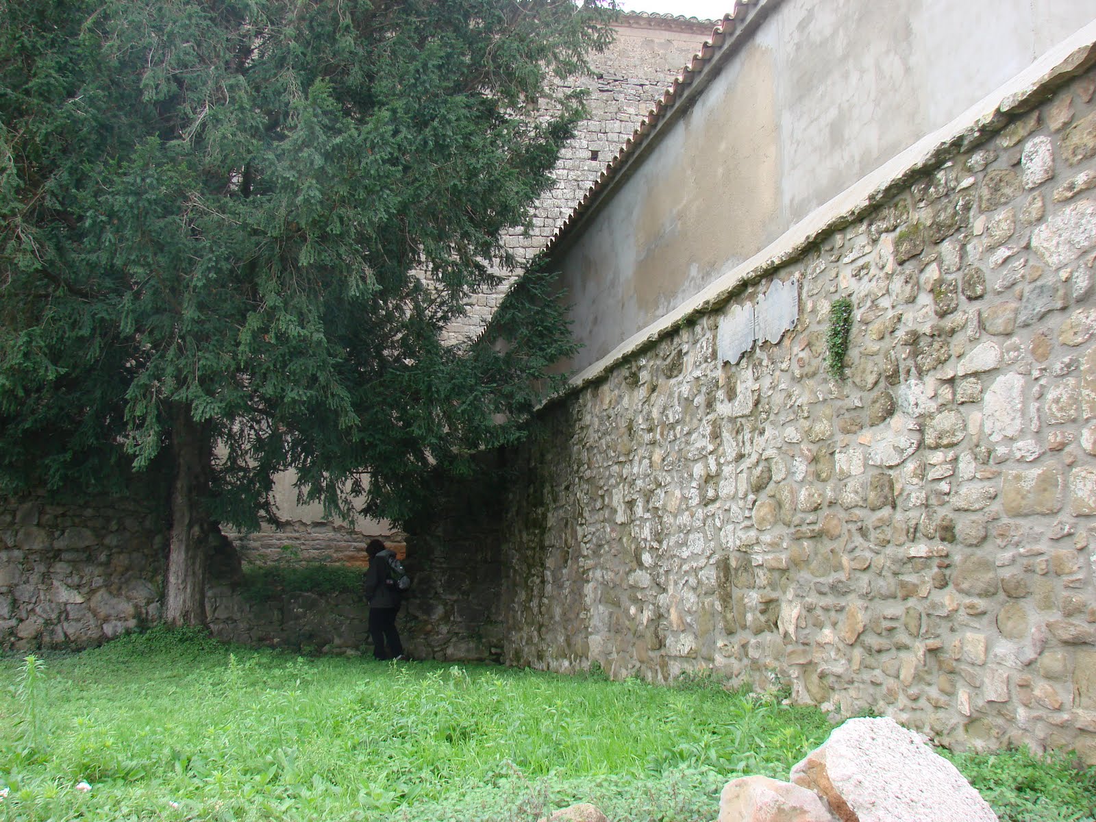 [Viver+i+Serrateix+(31).JPG]