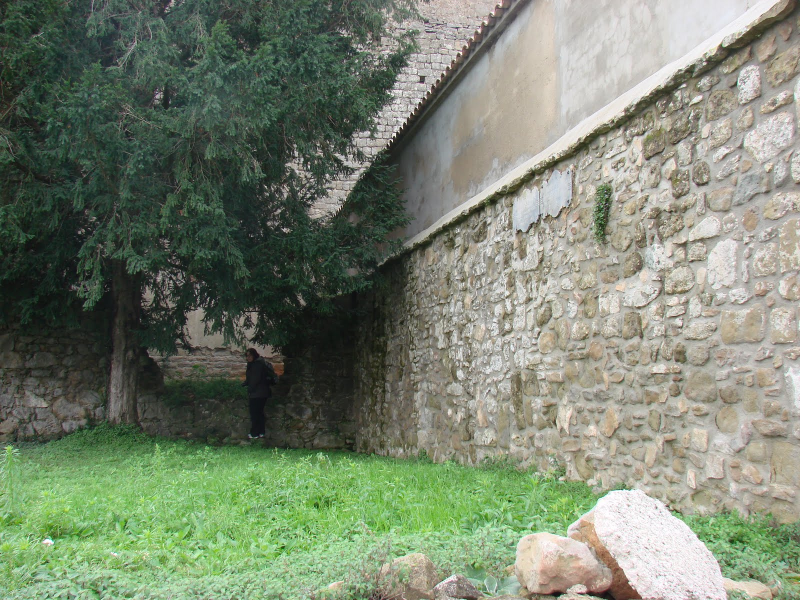 [Viver+i+Serrateix+(32).JPG]