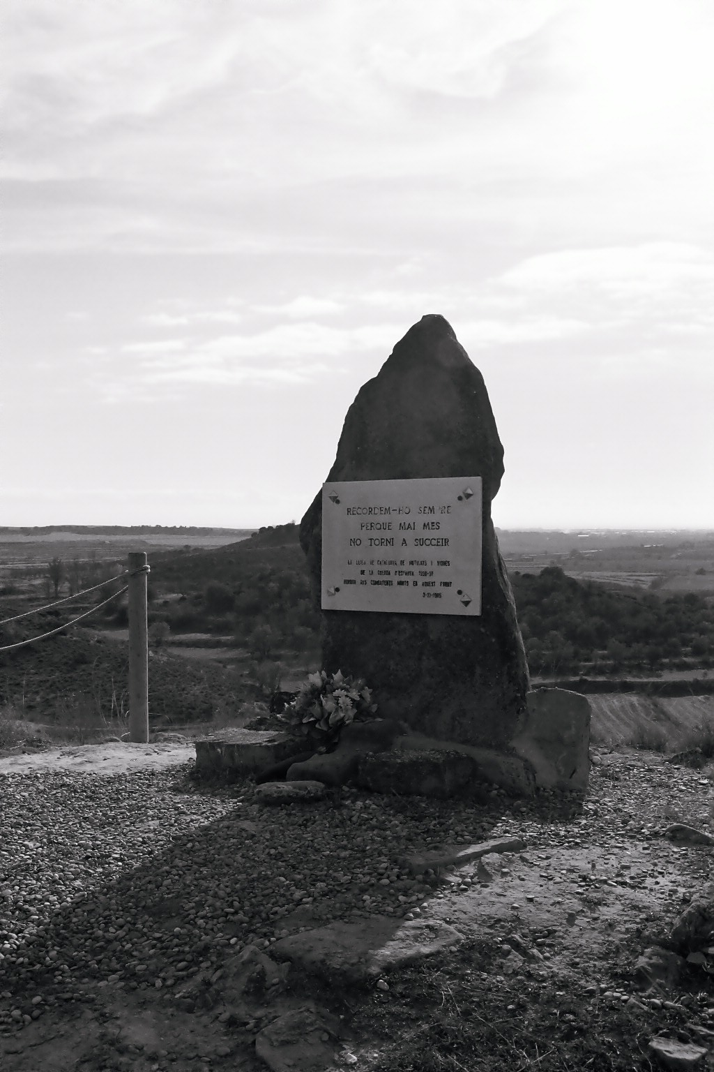 [El+Merengue+(4).JPG]