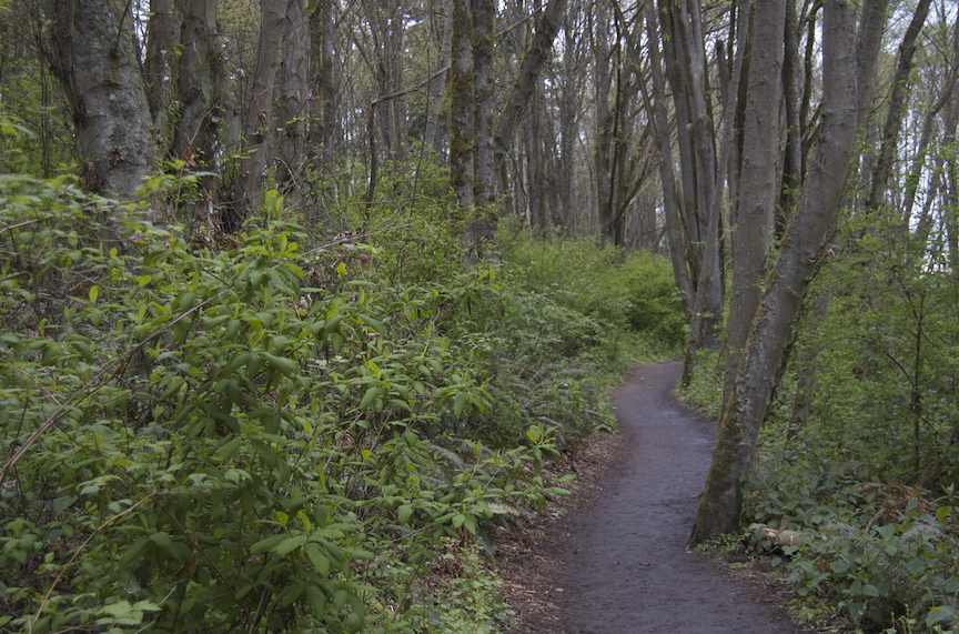 [Natural+Path+in+the+City.jpg]