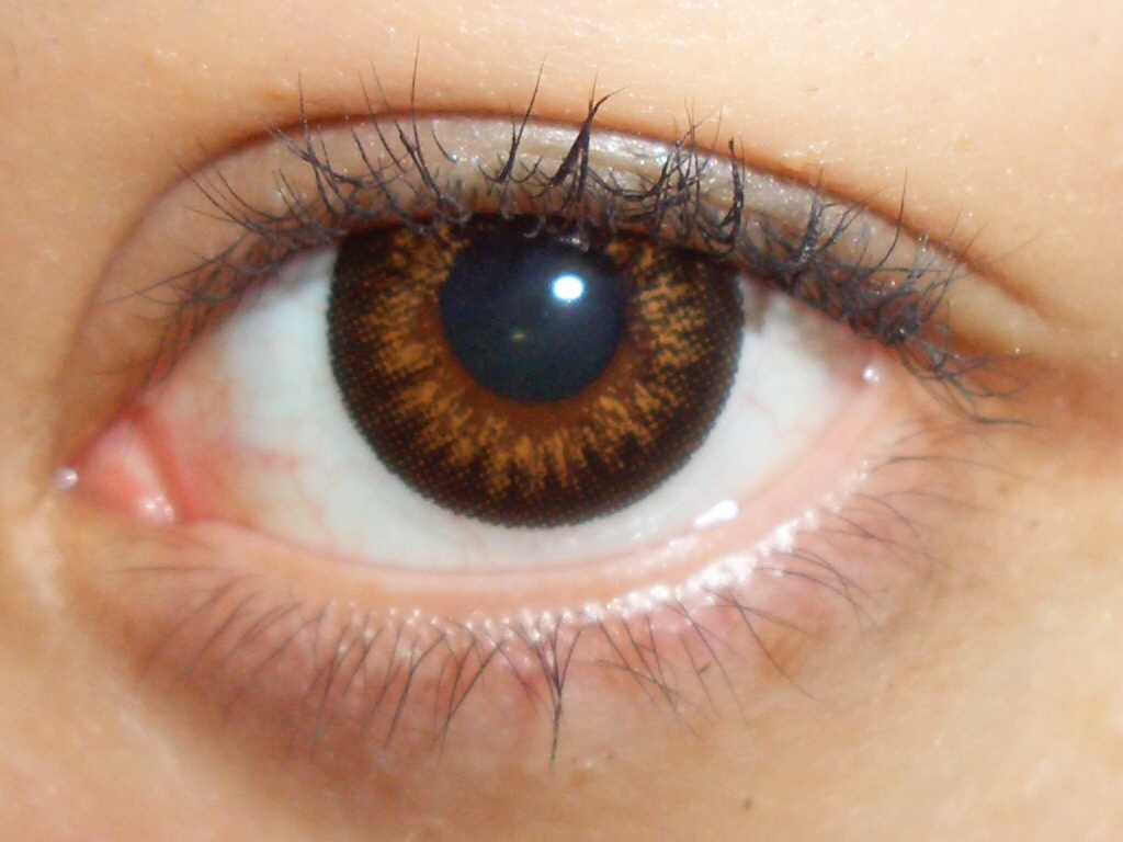 Темные глаза. Цвет глаз. Линзы на карие глаза. Темно карие на английском. Темно карие на английском.