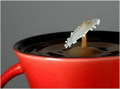 [red-gear_coffee-cream013.jpg]