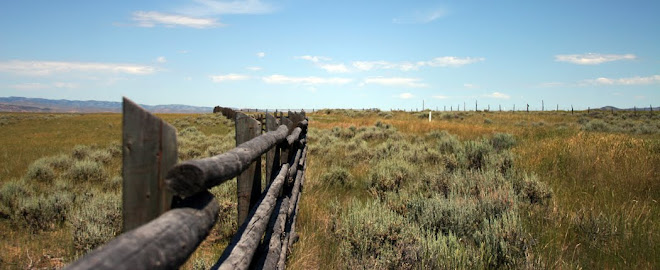 Fence @ Idaho/Wyoming border
