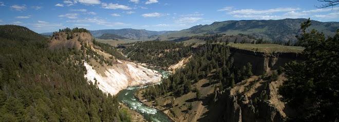 Yellowstone River
