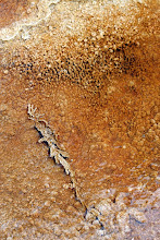 sulfur pool