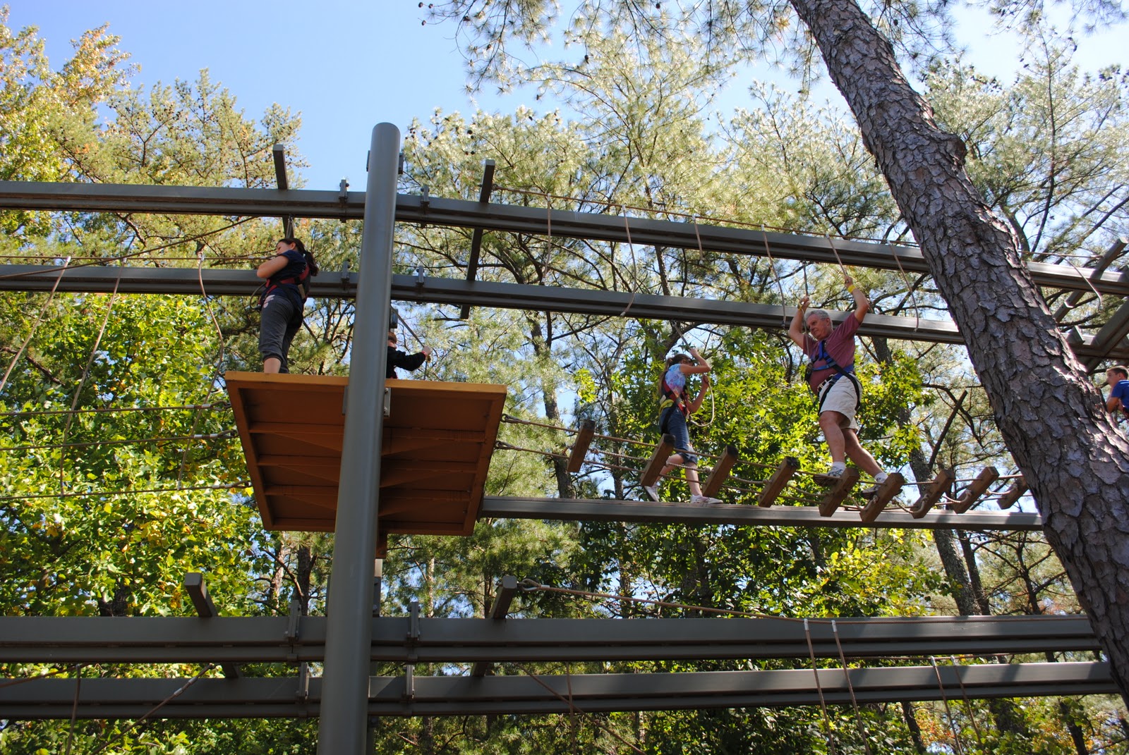 Moments That Take Your Breath Away...: " I went sky diving ...